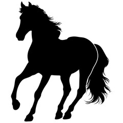 Andalusian Horse png image