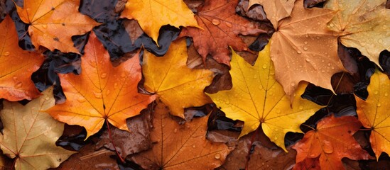 Obraz premium Header showcasing a vintage TV with a blank screen for copy space image.