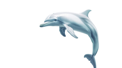 Fototapeta premium Dolphin on a transparent background