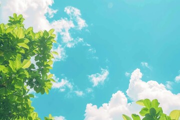 Bright sunny day with lush green leaves against a clear blue sky