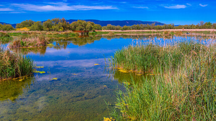 Tablas de Daimiel National Park, Daimiel, Ciudad Real, Castilla La Mancha, Spain, Europe