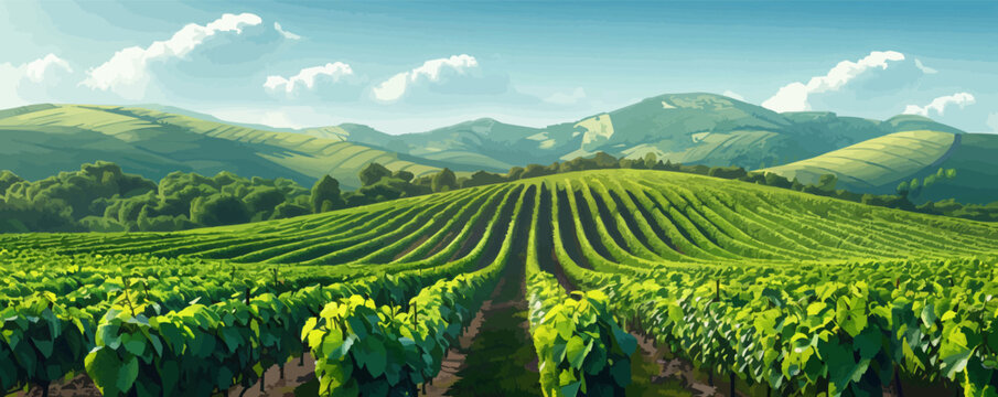 Lush vineyard with rows of grapevines and rolling hills. Vector flat minimalistic isolated illustration.