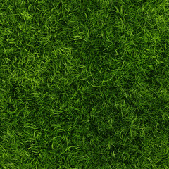 Seamless photo pattern of lawn grass