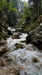 a river running through a forest, generated by AI