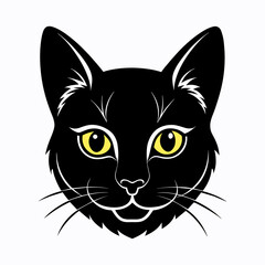 Fototapeta premium a black cat with a white face on a white background