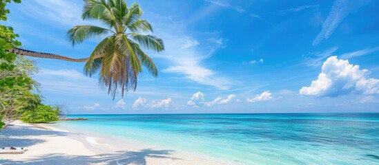 Ideal Tropical Beach Scene for Background or Wallpaper with Tourism Design for Summer Vacation Concept