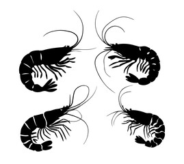 Fototapeta premium silhouette of shrimp isolated on white background, shrimp vector set