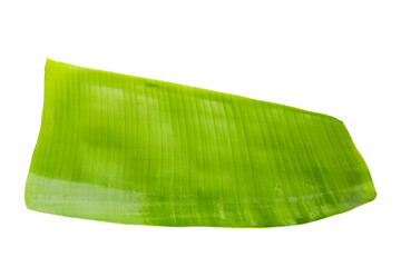 Banana leaves on white background.