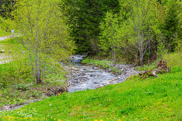 Torrent dans le Beaufortain, Savoie, France