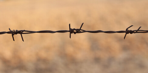 Old barbed wire on the ground background