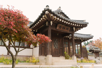 a traditional Korean Hanok house in Seoul, set against autumn foliage. The tranquil setting and...