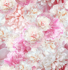 Seamless floral  background. Flowers peonies and petals peonies. Close up. © nadezhda F