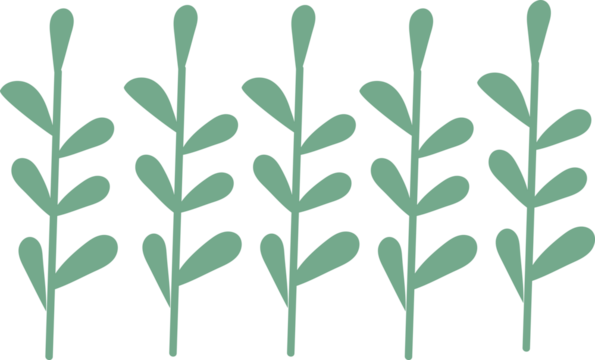 symbol, sticker, grass green, drawing on transparent background for collage