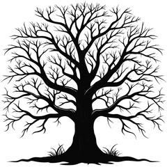 Leafless large tree silhouette vector illustrator on white background
