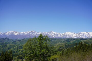 信州　小川村の風景　残雪の北アルプスと新緑の里山　