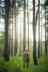 Obraz premium Vertical extreme long shot of senior Caucasian ranger standing with wooden stick and looking away in mountain forest on summer day