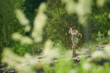 Extreme long side view shot of senior Caucasian naturalist using binoculars while working in mountain forest on summer day, copy space
