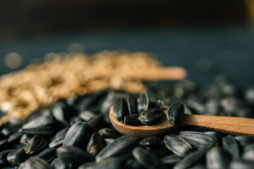 Assortment of sunflower grains, black background