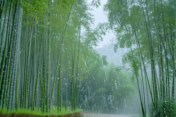 Serene bamboo forest bathed in soft mist, evoking a tranquil and natural ambience. Perfect for nature lovers and calming backgrounds.