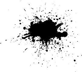 black watercolor brush dropped splash splatter on white background vector