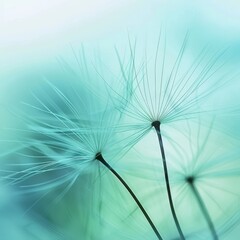 Macro shot of dandelion seed with soft blue sky background, emphasizing delicate texture