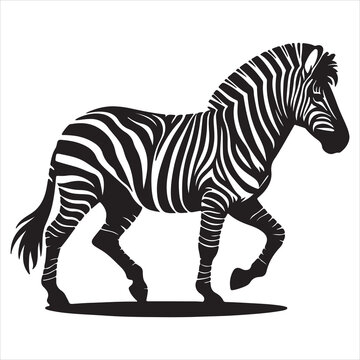 black and white zebra walking clip art preview