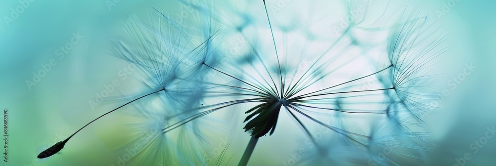 Wall mural Intricate dandelion seed close up with soft blue sky and dispersing seeds in background