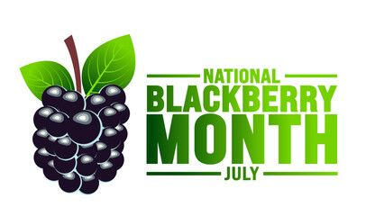 July is National Blackberry Month background template. Holiday concept. use to background, banner, placard, card, and poster design template with text inscription and standard color. vector