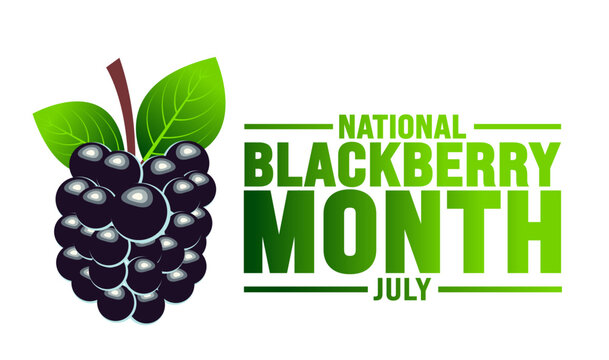 July is National Blackberry Month background template. Holiday concept. use to background, banner, placard, card, and poster design template with text inscription and standard color. vector