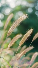 Close Up of Plant With Blurry Background