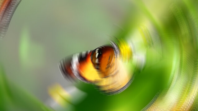 Flash 10 Styles Transitions 4k 1:1 16:9 9:16