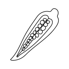 Okra in doodle style. Vector isolated on white background