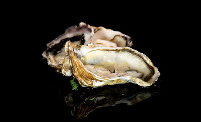 Fresh Oysters close up isolated on black background, open french oysters. Healthy sea food. Oyster dinner in restaurant. Gourmet food, delicatessen.
