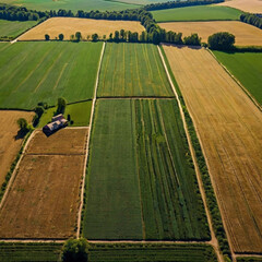 Obraz premium Fields, farm, Photo from drone, landscape from above, background, generating ai