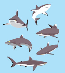 Grey Reef Shark Cartoon Character