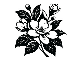 Jasmine isolated vector floral elements for design. Black silhouette and outline on a white background.