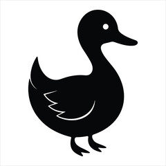 duck on white