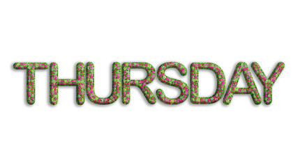 THURSDAY, word or text made from flowers, leaves, green grass isolated on transparent background, suitable for template design