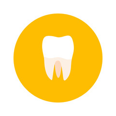 molar teeth flat design vector illustration. Oral medicine, stomatology, dental medicine concepts. White tooth. Modern flat design graphic element. Vector illustration