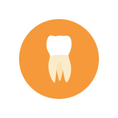 molar teeth flat design vector illustration. Oral medicine, stomatology, dental medicine concepts. White tooth. Modern flat design graphic element. Vector illustration