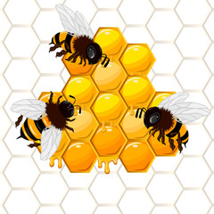 Bees on honeycombs in illustration.Colored vector illustration with bees on honeycombs.