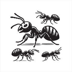 ant clipart, Vector 