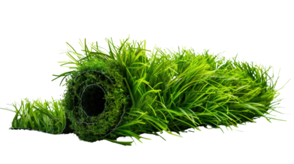 Roll of artificial grass on a transparent background