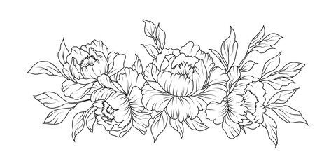 Peony flower arrangement line art on white background. Silhouette botanical hand drawn element for wedding, invitation frame design, vector illustration © abcvector