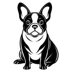 Single French Bulldog with sitting style