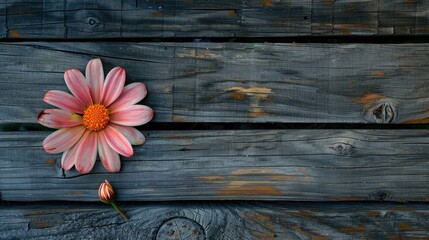 Inverted flower on wooden backdrop Overhead perspective with room for text