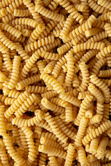 Raw Dry Organic Italian Fusilli Corti Bucati