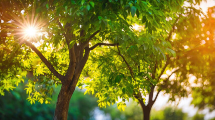 Obraz premium Nature of green leaf in garden at summer. Natural green leaves plants using as spring background cover page environment ecology or greenery wallpaper