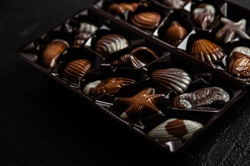 Chocolate candies in the shape of shells on a dark background