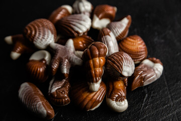 Chocolate candies in the shape of shells on a dark background